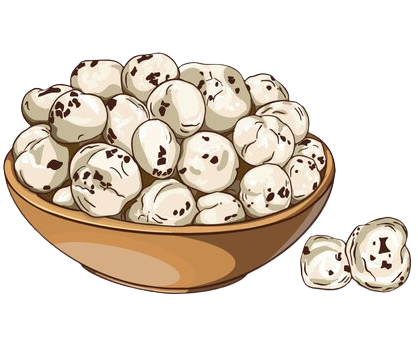 Premium Earthence Makhana
